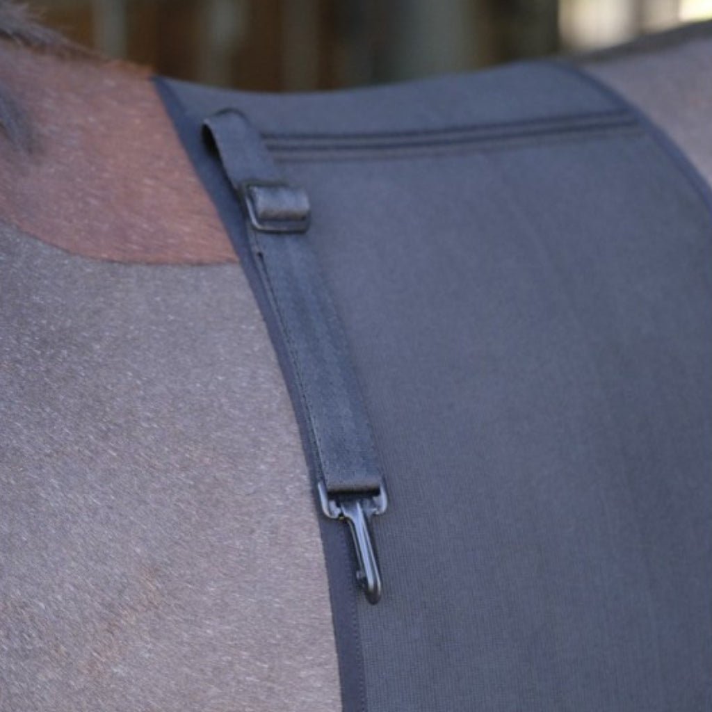 HENRY equestrian - Norton - Προστατευτική ζώνη σπιρουνιού μαύρο