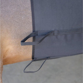HENRY equestrian - Norton - Προστατευτική ζώνη σπιρουνιού μαύρο