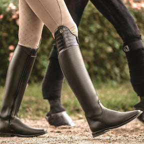 HENRY equestrian - Cavallo - Insignis