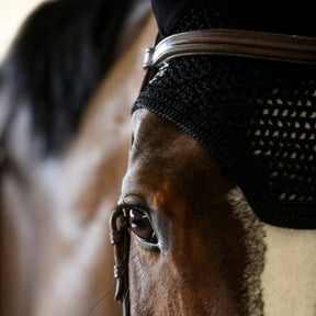 HENRY equestrian - Harcour - Σκουφάκι Rubis - black