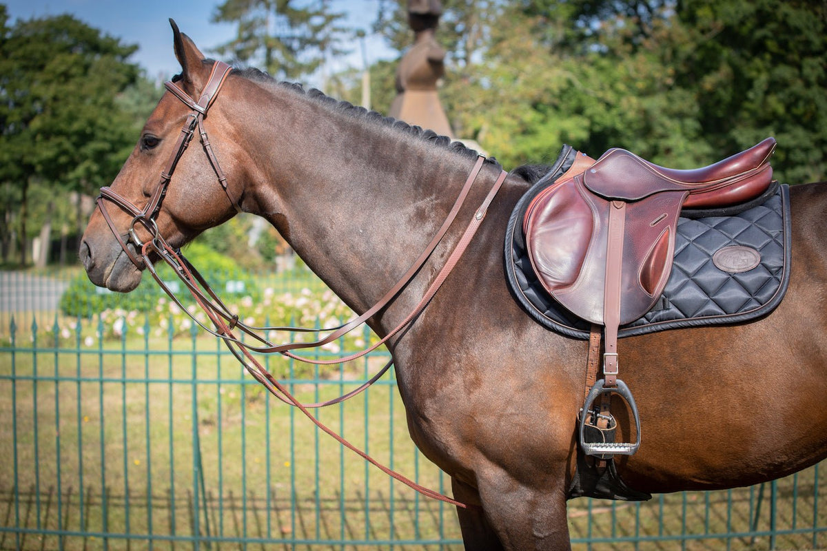 HENRY equestrian - Jump'In - Γερμανικά ηνία One καφέ