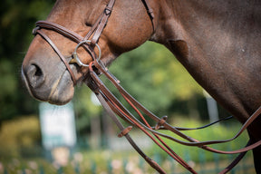 HENRY equestrian - Jump'In - Γερμανικά ηνία One - μαύρο