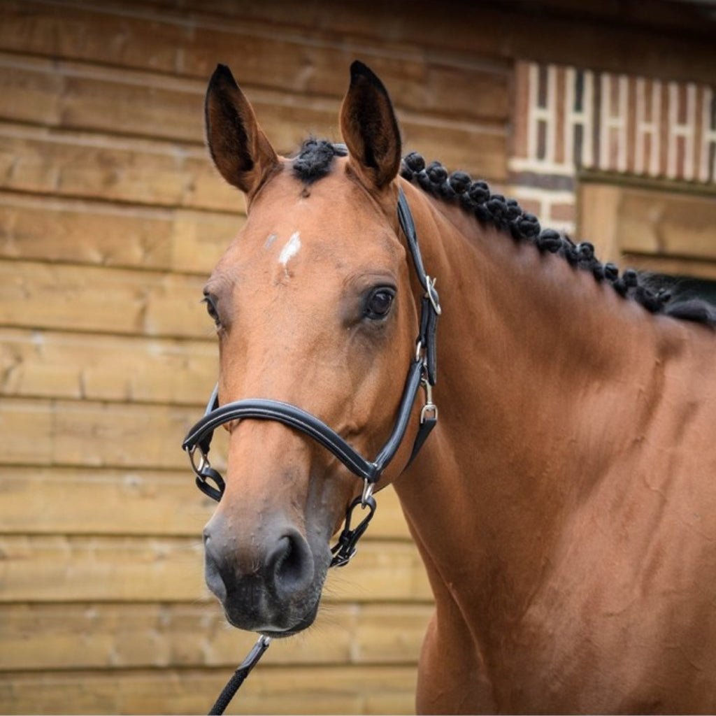 HENRY equestrian - Jump'In - Καπίστρι One Grooming μαύρο