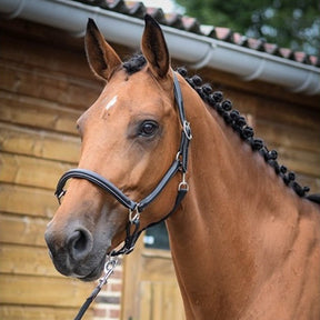 HENRY equestrian - Jump'In - Καπίστρι One Grooming μαύρο
