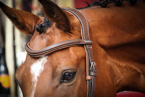 HENRY equestrian - Jump'In- Χαλινάρι New-York καφέ