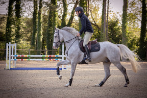 HENRY equestrian - Jump'In - Χαλινάρι New-York μαύρο