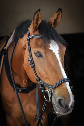 HENRY equestrian - Jump'In - Χαλινάρι New-York μαύρο
