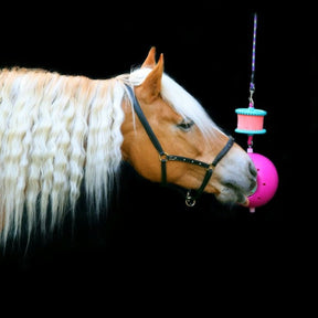 HENRY equestrian - Likit - Γλειφιτζούρι για παιχνίδι Likit - καρότο 250 gr