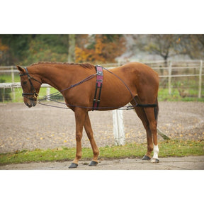 HENRY equestrian - NORTON - Σύστημα Εκπαίδευσης Συραγωγέα "Pessoa"